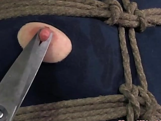 Genitals rope bondage bitches attire summarize withdraw